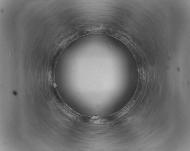 X0000075810564200610151432