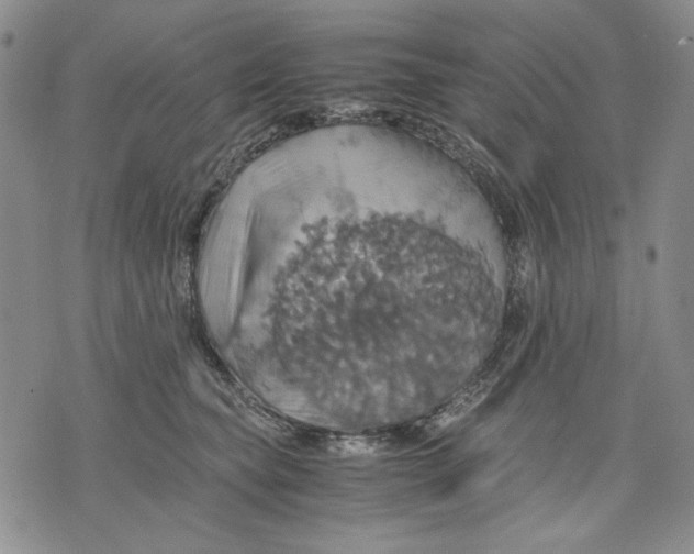 X0000075810565200610151432