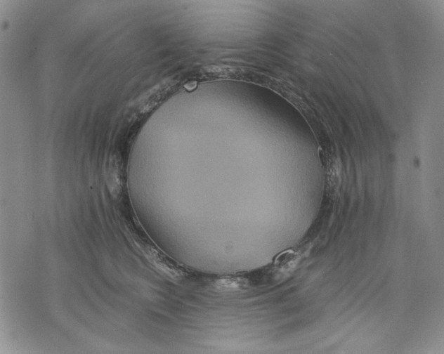 X0000075810566200610151433