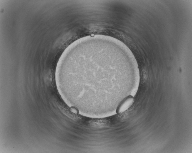 X0000075810567200610151433