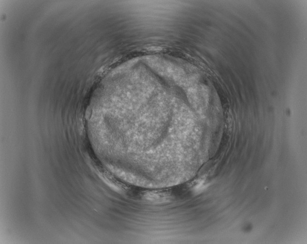 X0000075810568200610151433