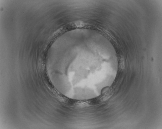 X0000075810569200610151433