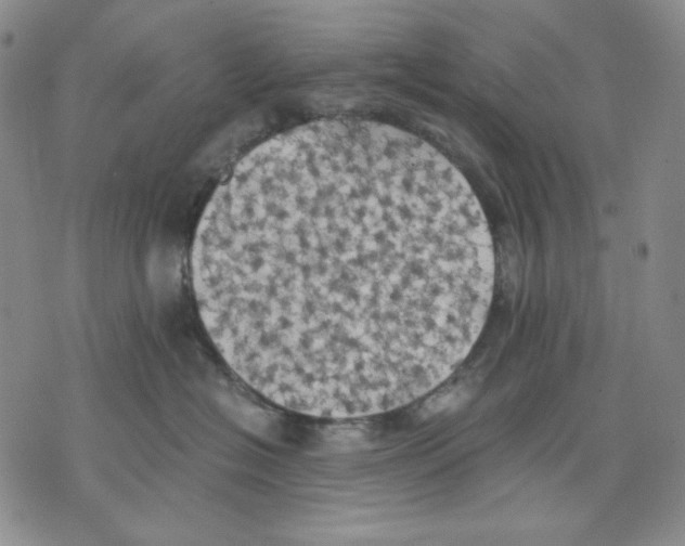 X0000075810574200610151433