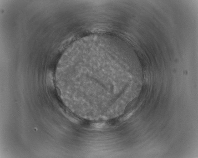 X0000075810575200610151433