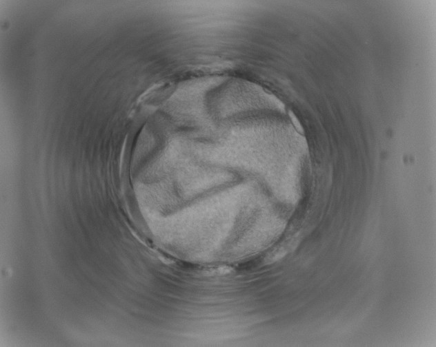 X0000075810576200610151433