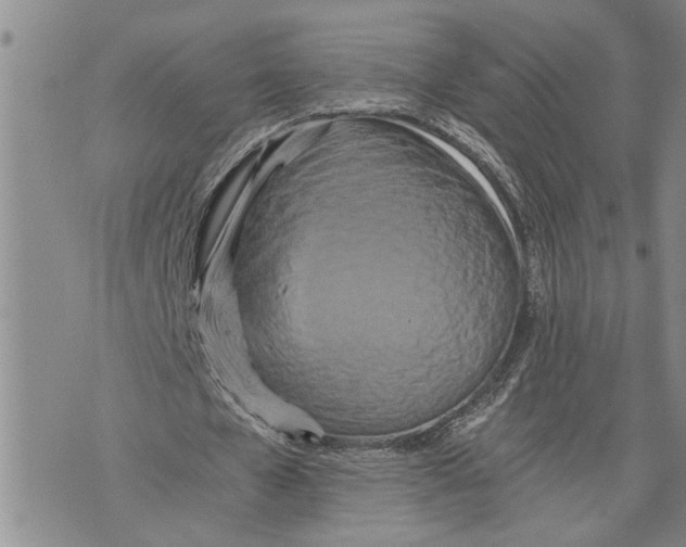 X0000075810577200610151432