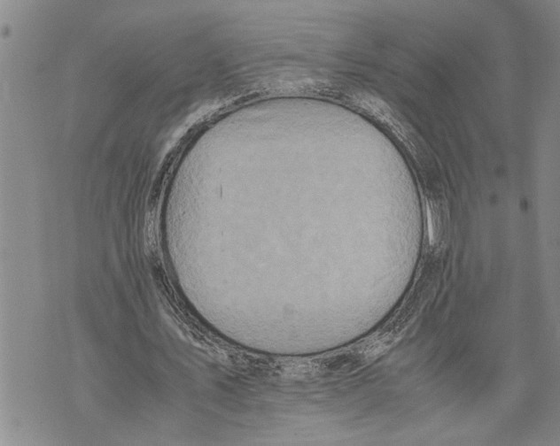 X0000075810579200610151432