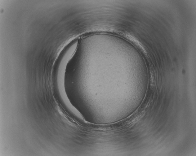 X0000075810580200610151432