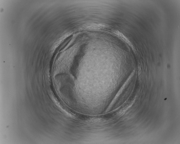 X0000075810581200610151432