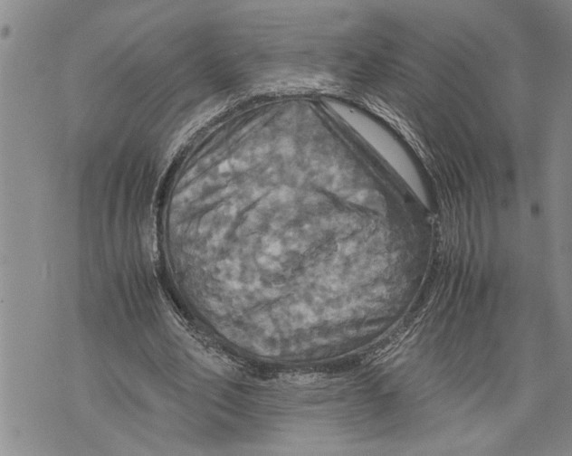 X0000075810582200610151432