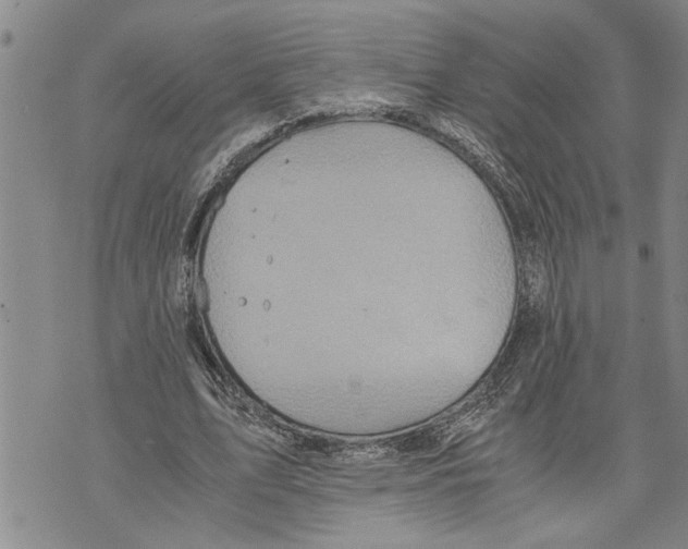 X0000075810583200610151432