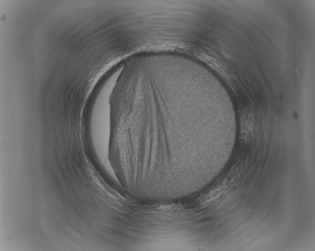 X0000075810584200610151432