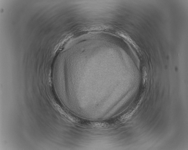 X0000075810585200610151432