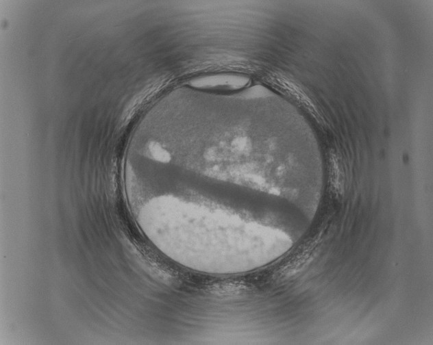 X0000075810586200610151432