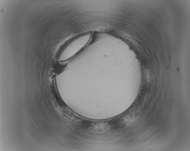 X0000075810587200610151432