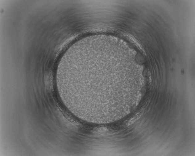 X0000075810588200610151432