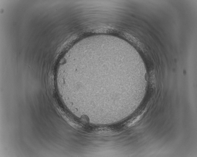 X0000075810589200610151432