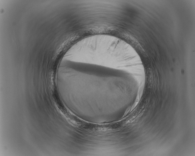 X0000075810590200610151432