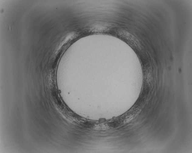 X0000075810591200610151432