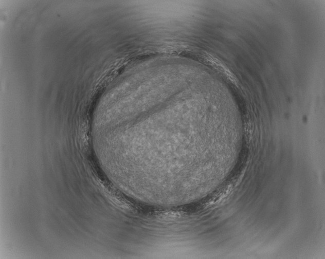 X0000075810593200610151432