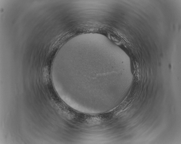 X0000075810594200610151432