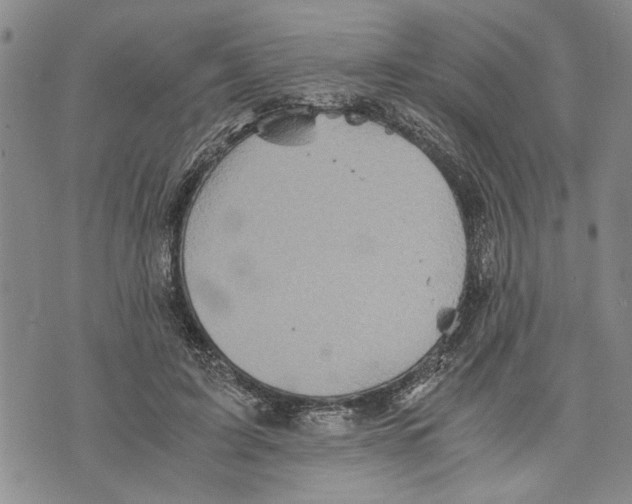 X0000075810595200610151432