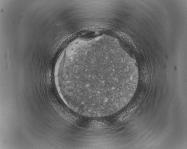 X0000075810596200610151432