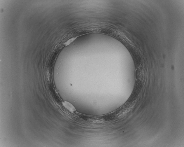 X0000075810597200610151432