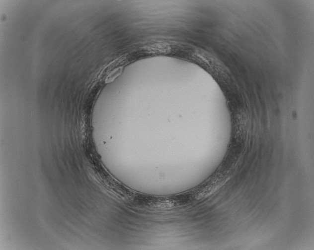 X0000075810600200610151432