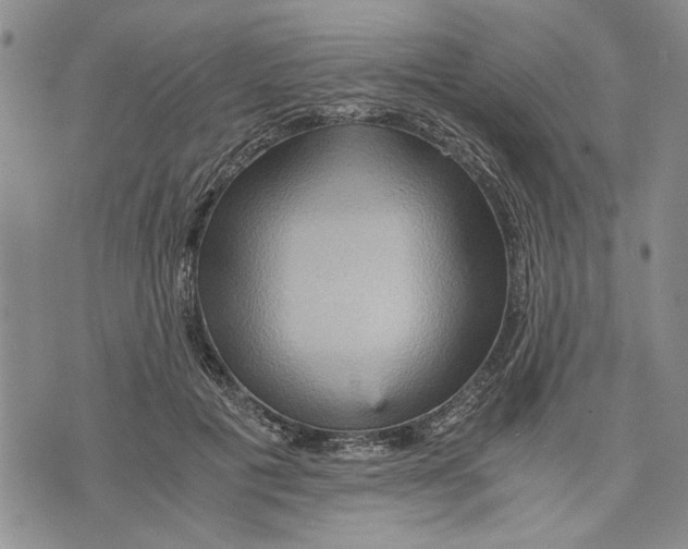 X0000075810601200610151432