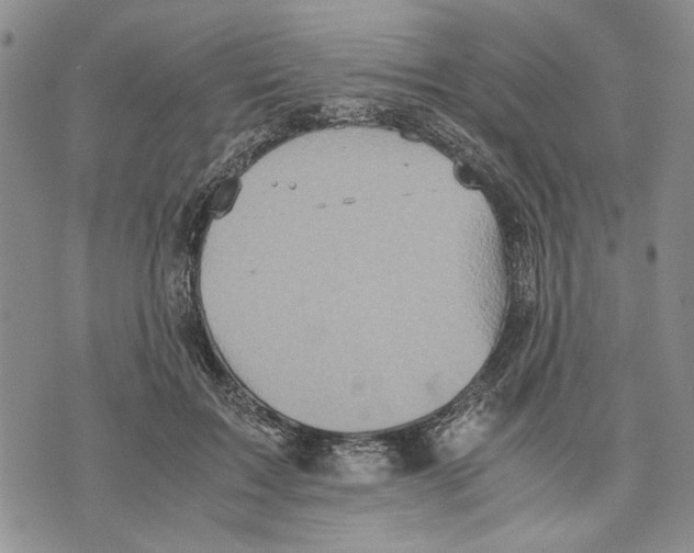 X0000075810603200610151431