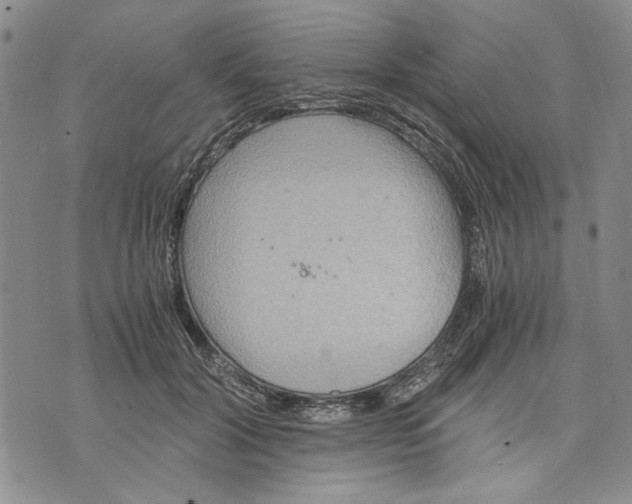 X0000075810604200610151431