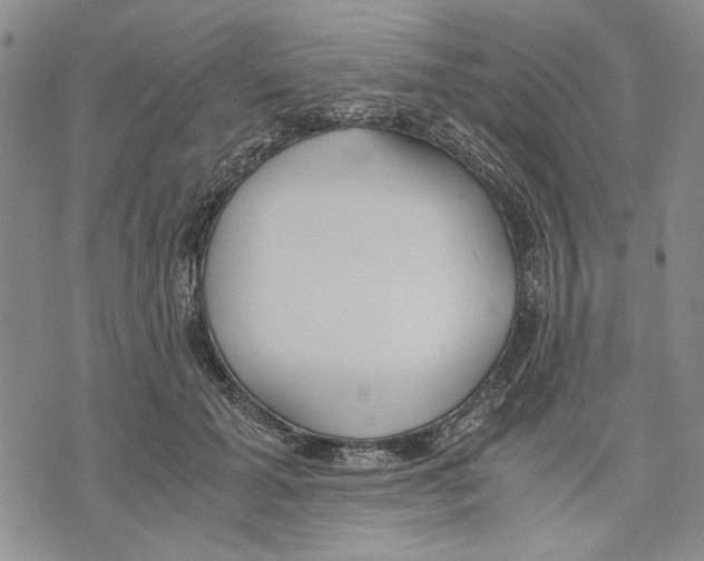 X0000075810605200610151431