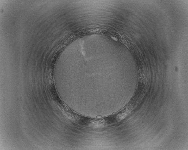 X0000075810606200610151431