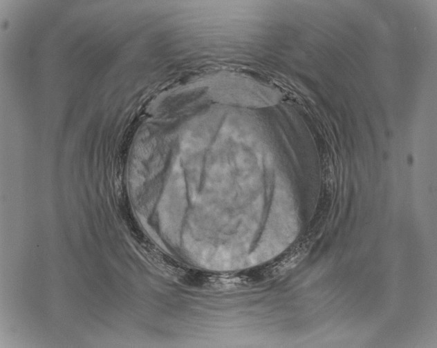 X0000075810607200610151431