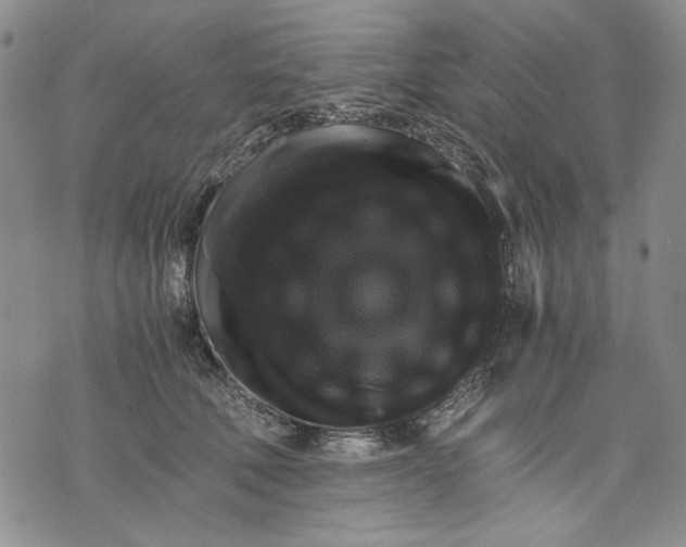 X0000075810610200610151431