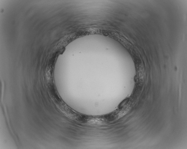 X0000075810611200610151431