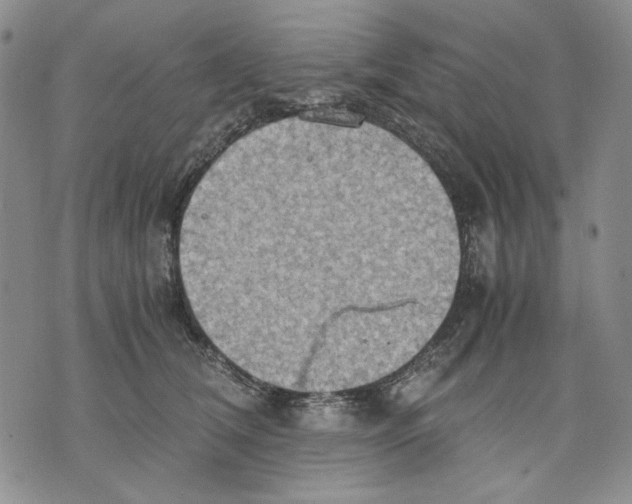 X0000075810612200610151431