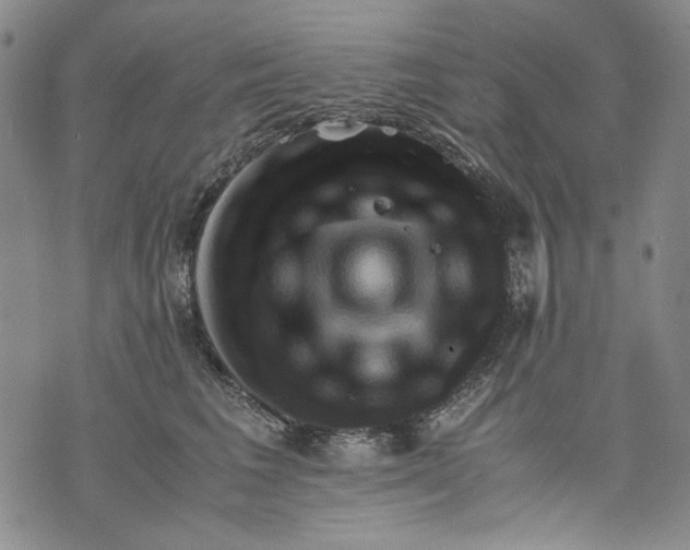 X0000075810613200610151431