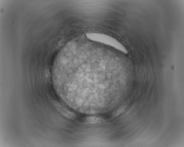 X0000075810614200610151431