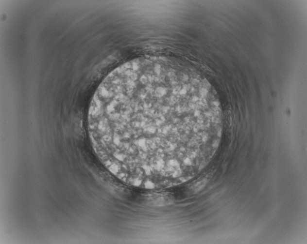 X0000075810615200610151431