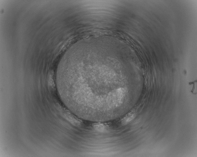 X0000075810616200610151431