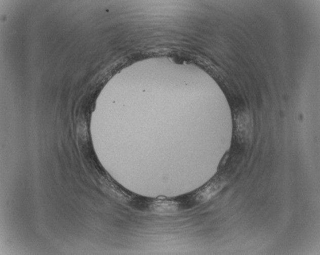 X0000075810617200610151431