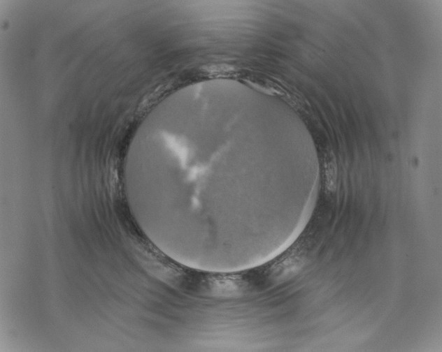 X0000075810618200610151431