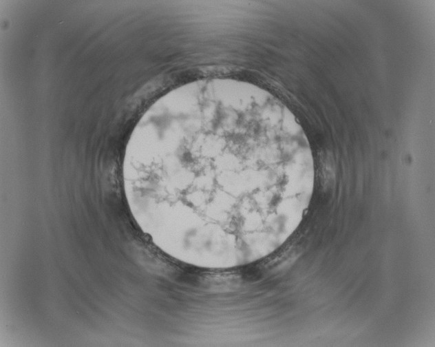 X0000075810619200610151431