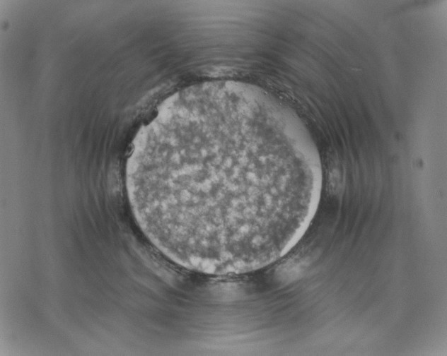 X0000075810620200610151431