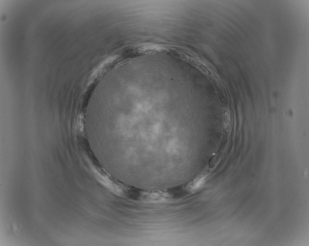 X0000075810621200610151431