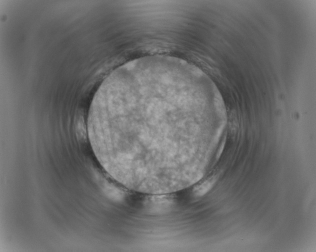 X0000075810622200610151431