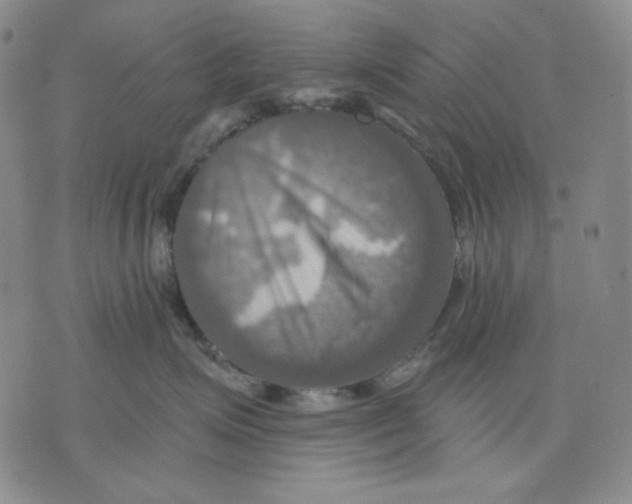 X0000075810623200610151431