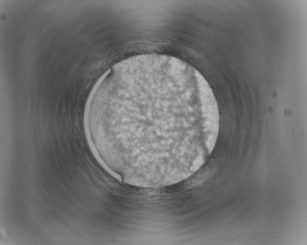 X0000075810624200610151431